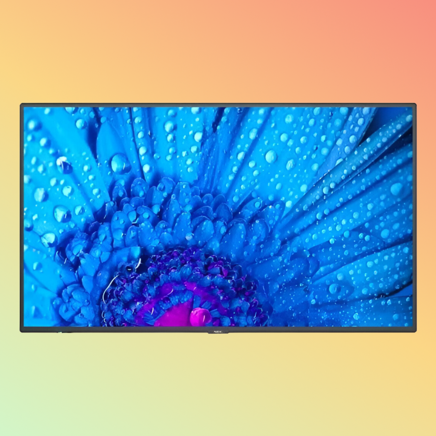 NEC MultiSync M651 Monitor - 65" LCD