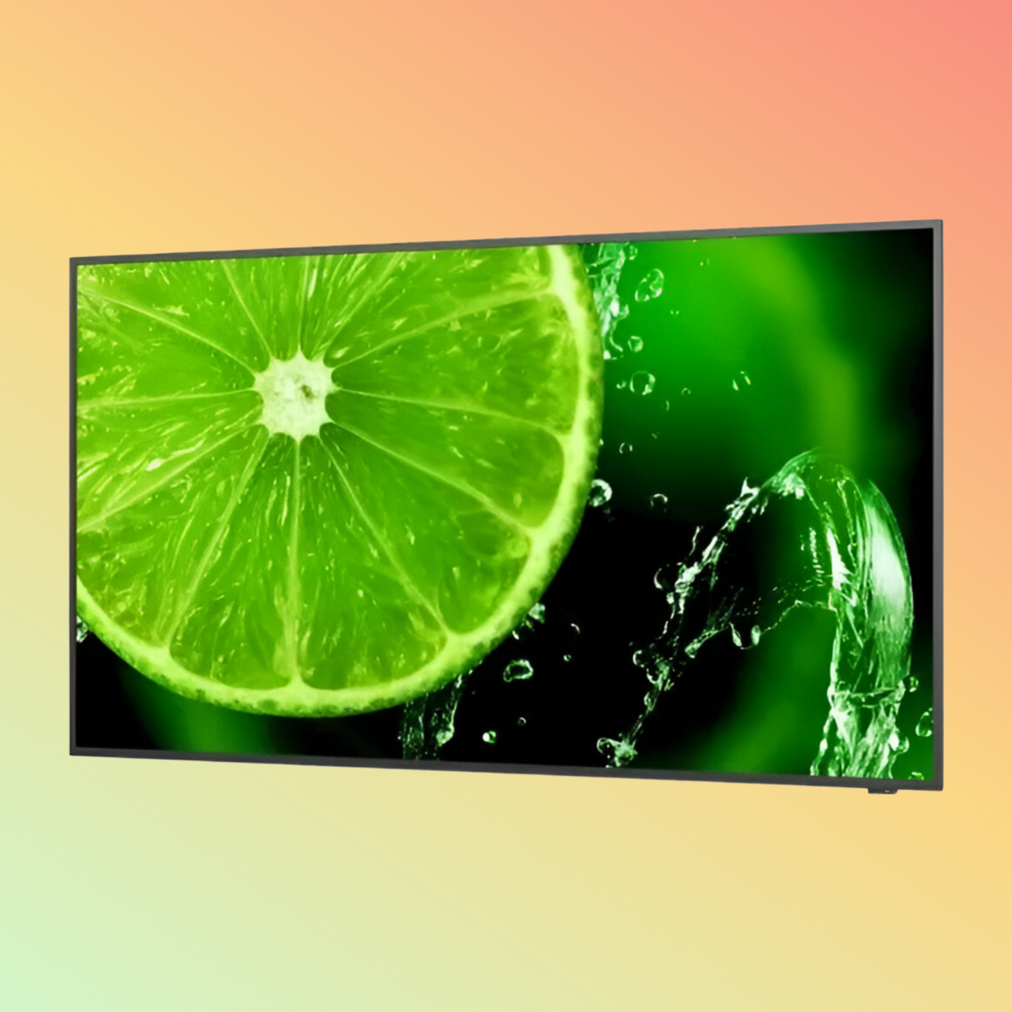 NEC MultiSync E328 Monitor - 32" LCD