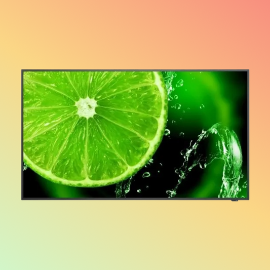 NEC MultiSync E328 Monitor - 32" LCD