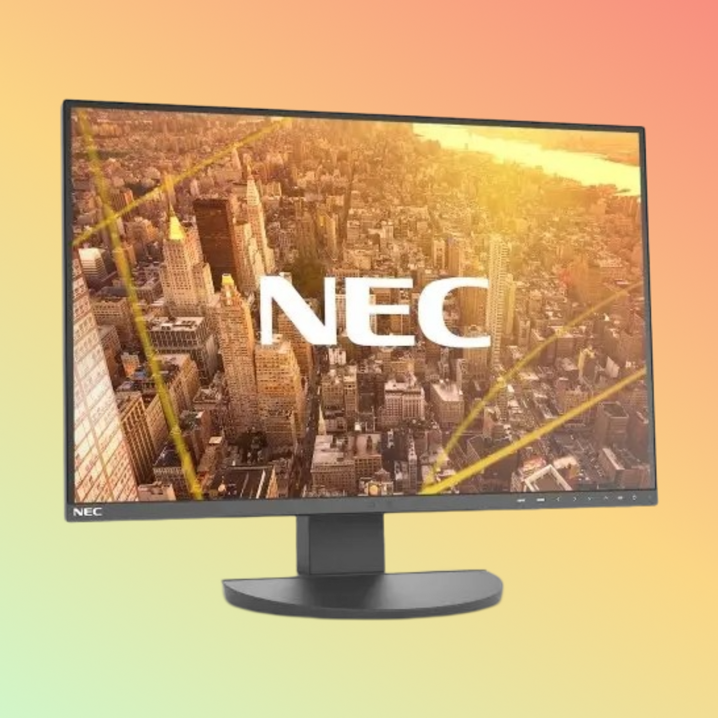 NEC MultiSync EA242WU Monitor - 24" LCD