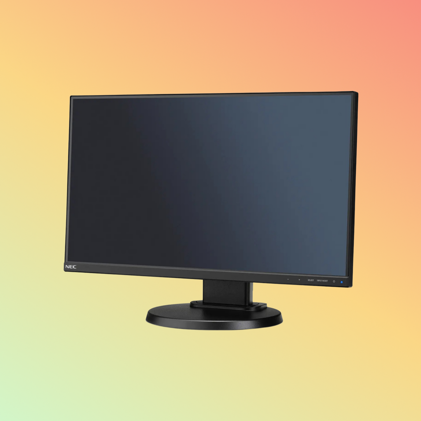 NEC MultiSync E221N Monitor - 22" LCD
