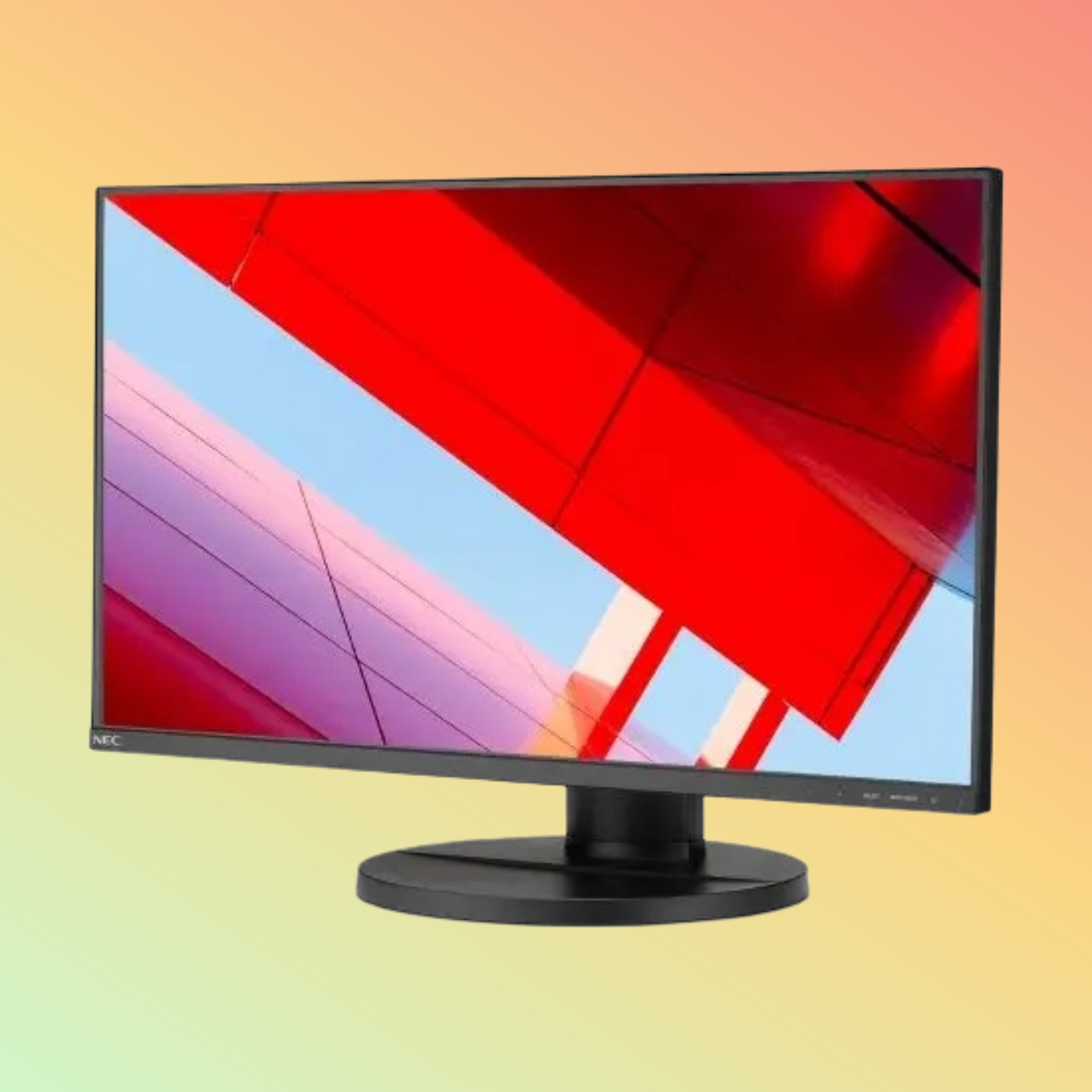NEC MultiSync E243F Monitor - 24