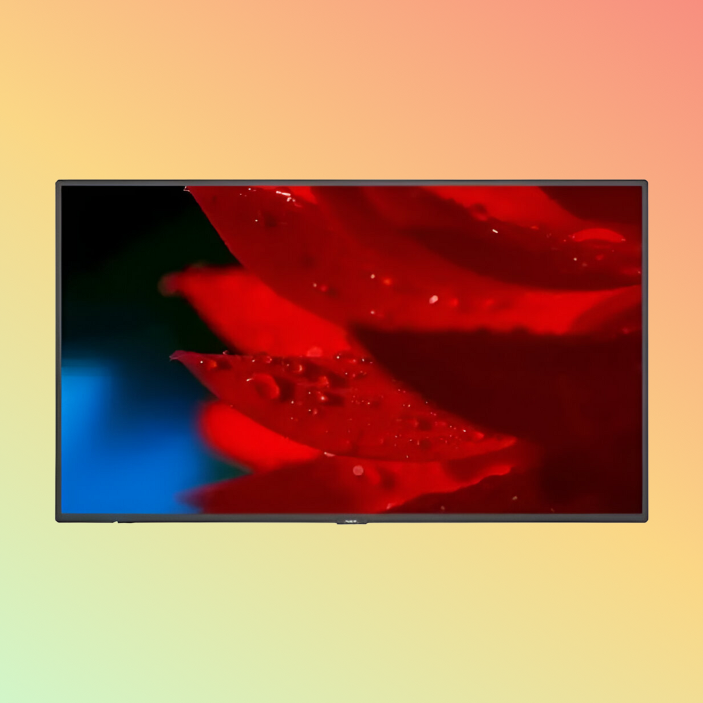 NEC MultiSync MA551 Monitor - 55