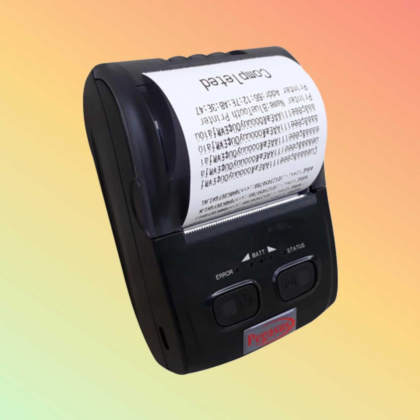Pegasus PM5820 Mini Thermal Portable Printer
