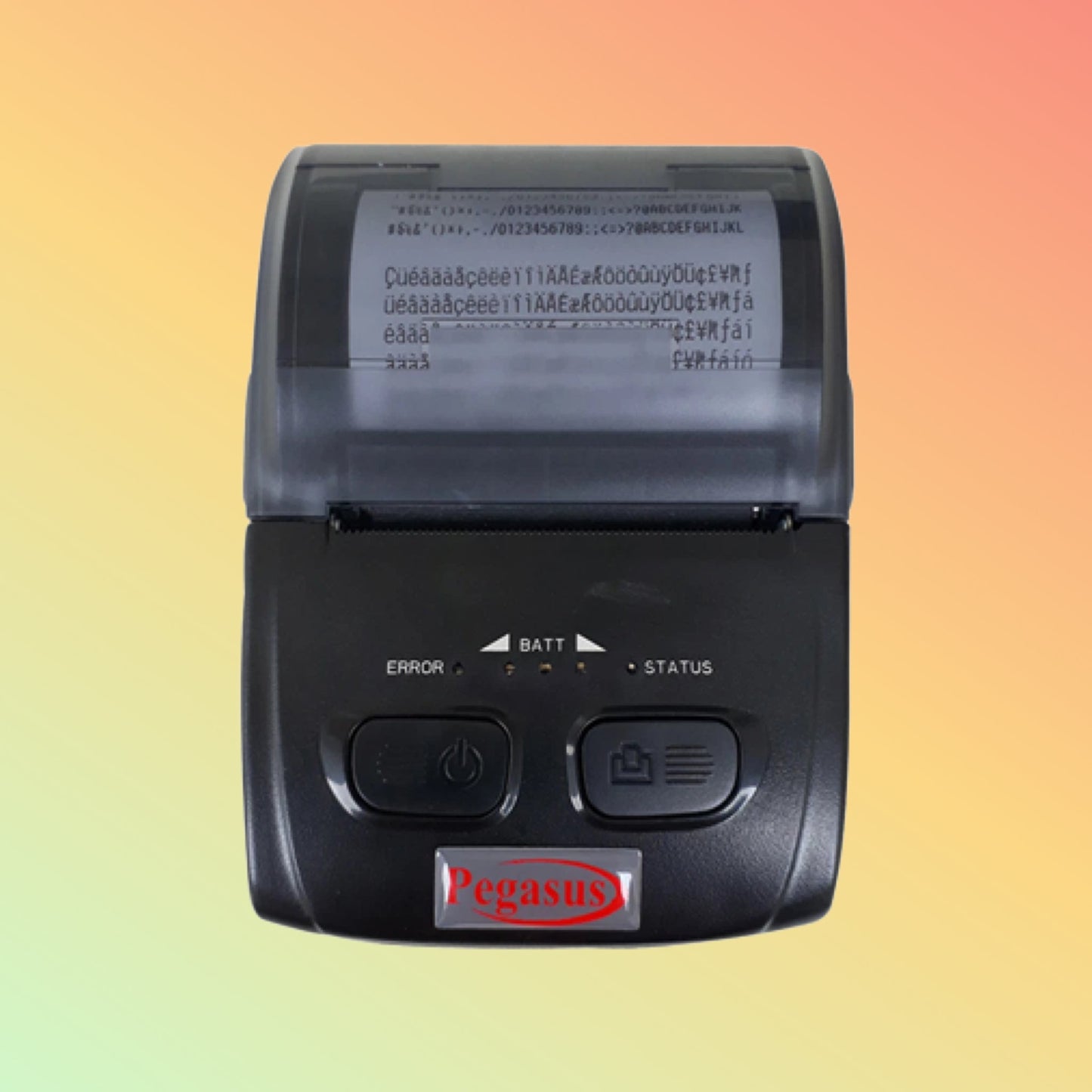 Pegasus PM5820 Mini Thermal Portable Printer