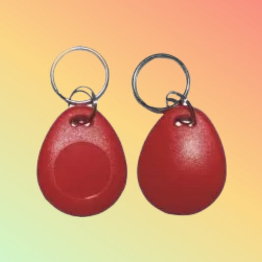 MIND RFID keyfob